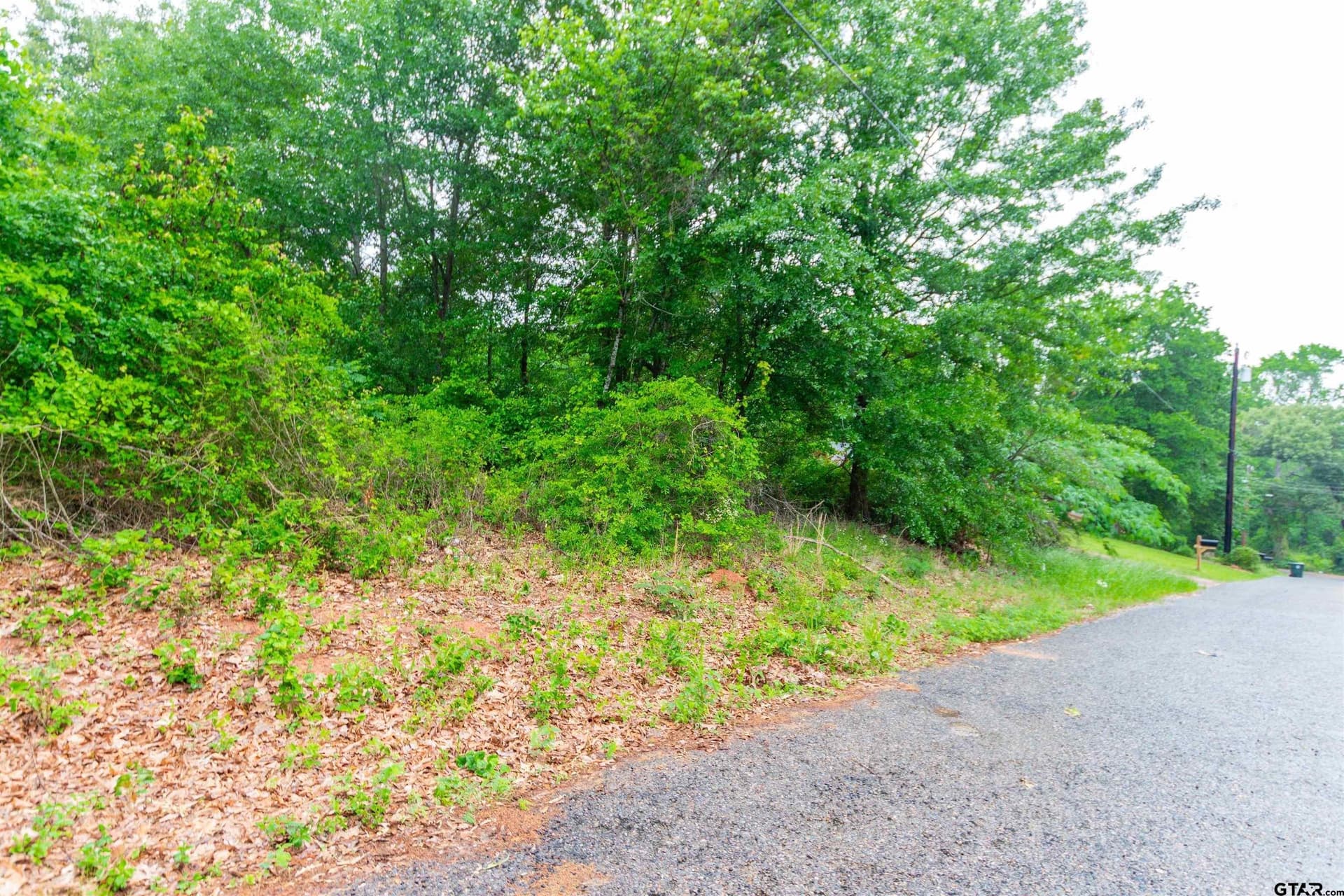 0.28 acres in Smith County gallery image 3