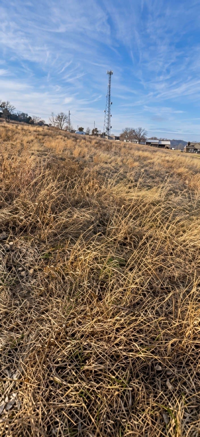 0.13 acres in Parker County - photo 5