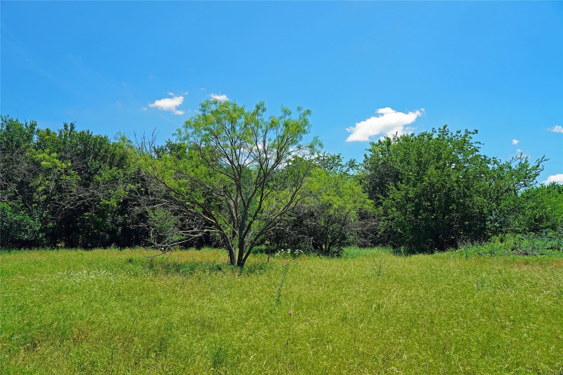 36.42 acres in Jack County - photo 22