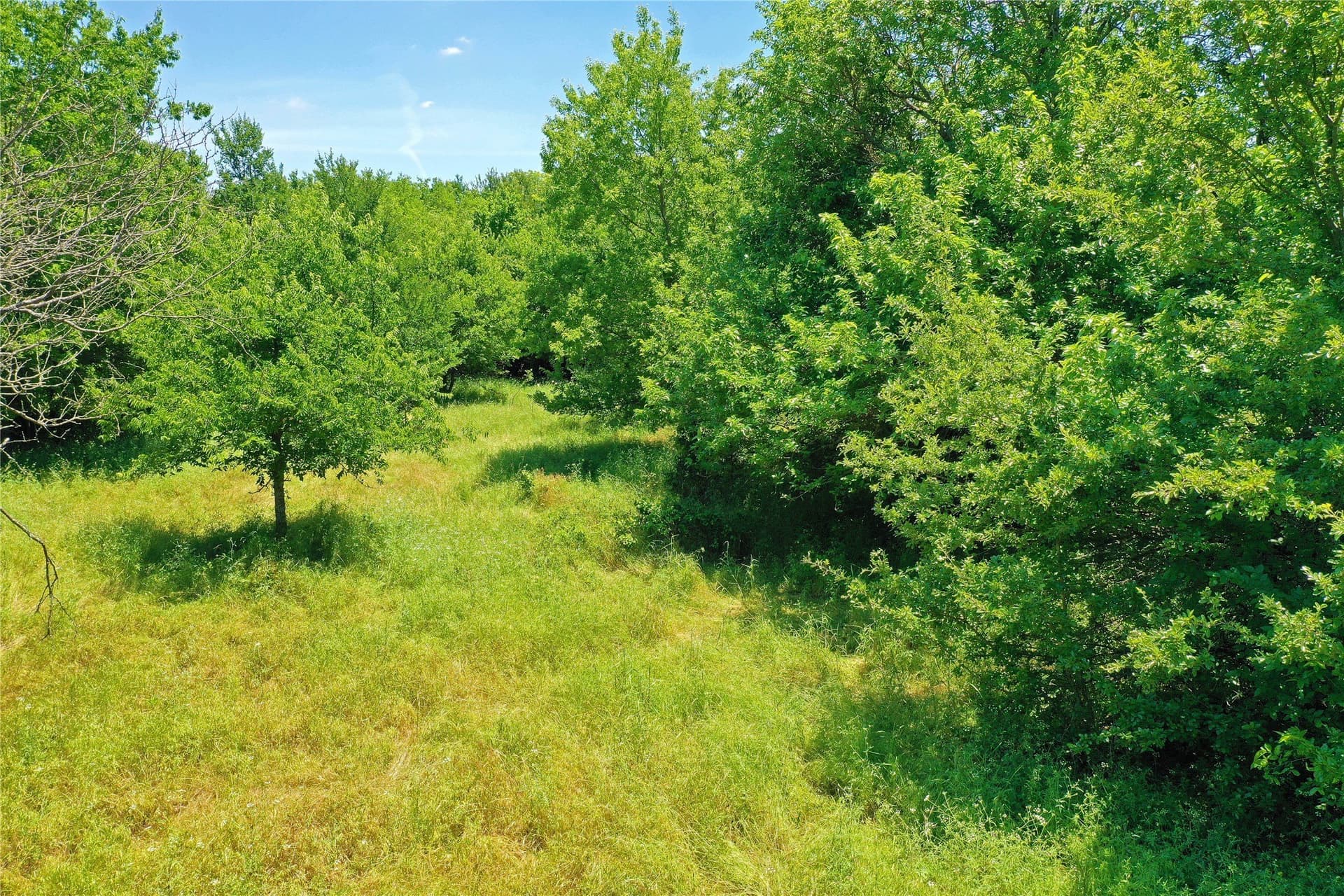 36.42 acres in Jack County - photo 13