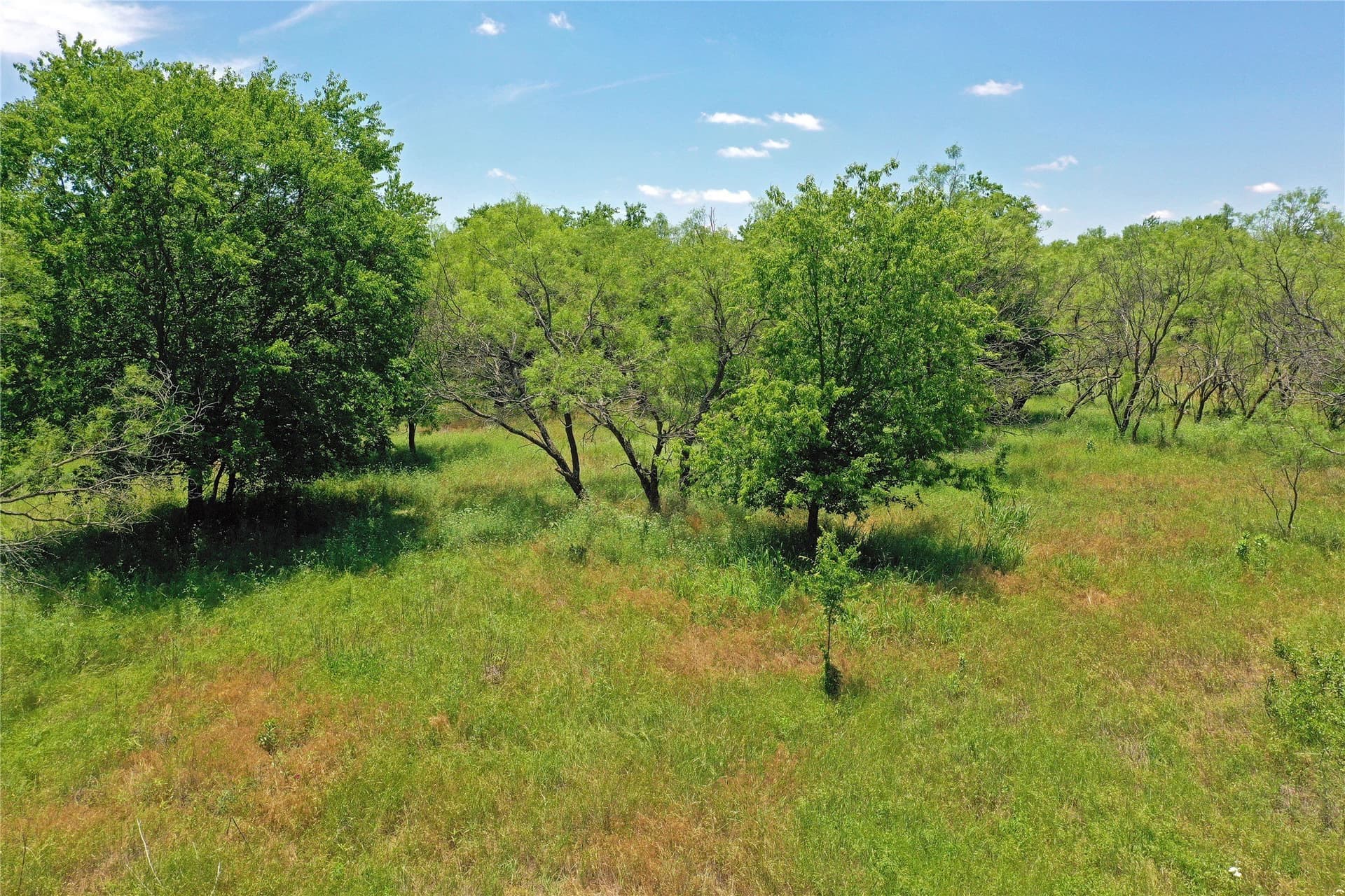 36.42 acres in Jack County - photo 11