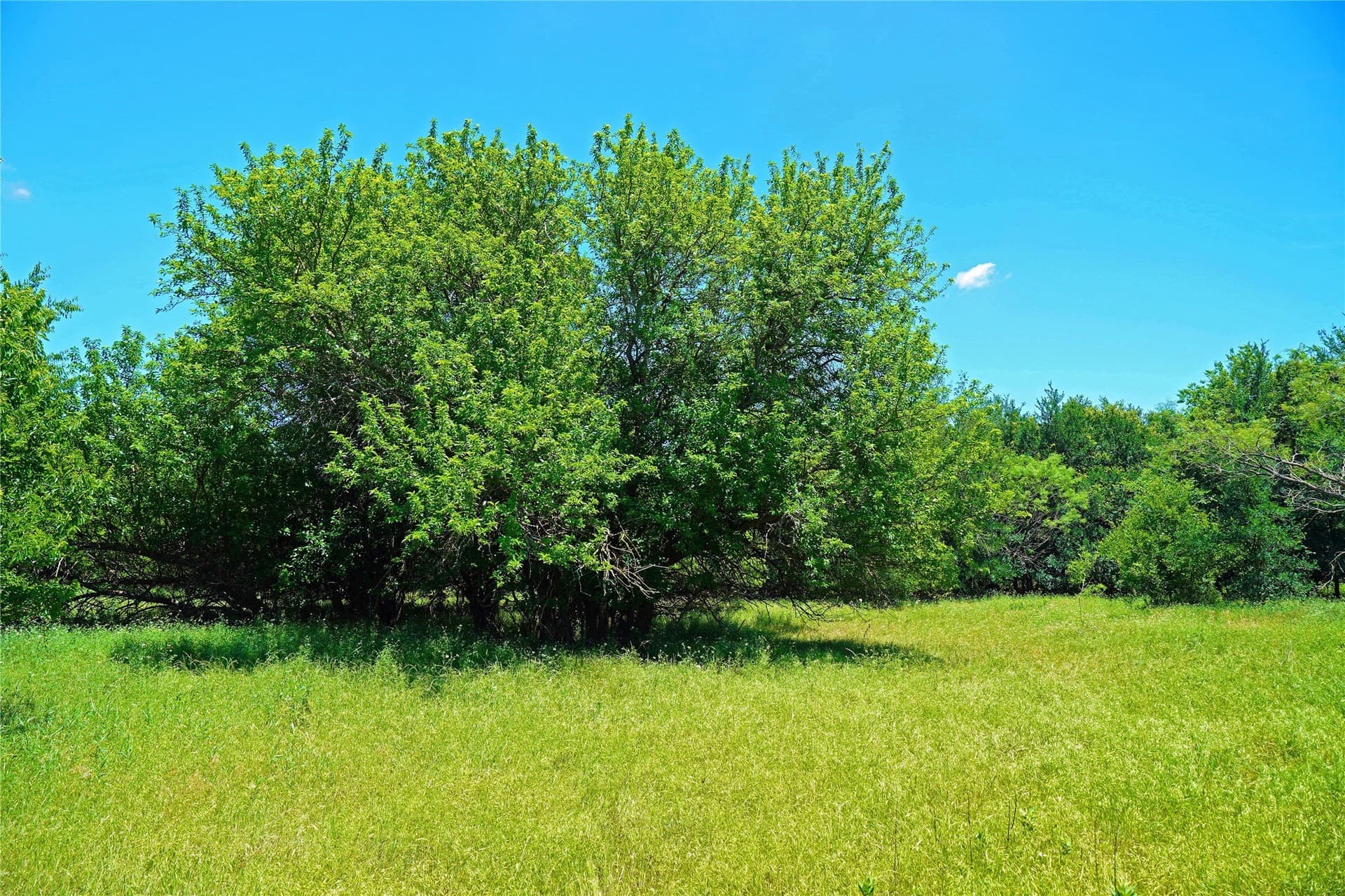 36.42 acres in Jack County - photo 24