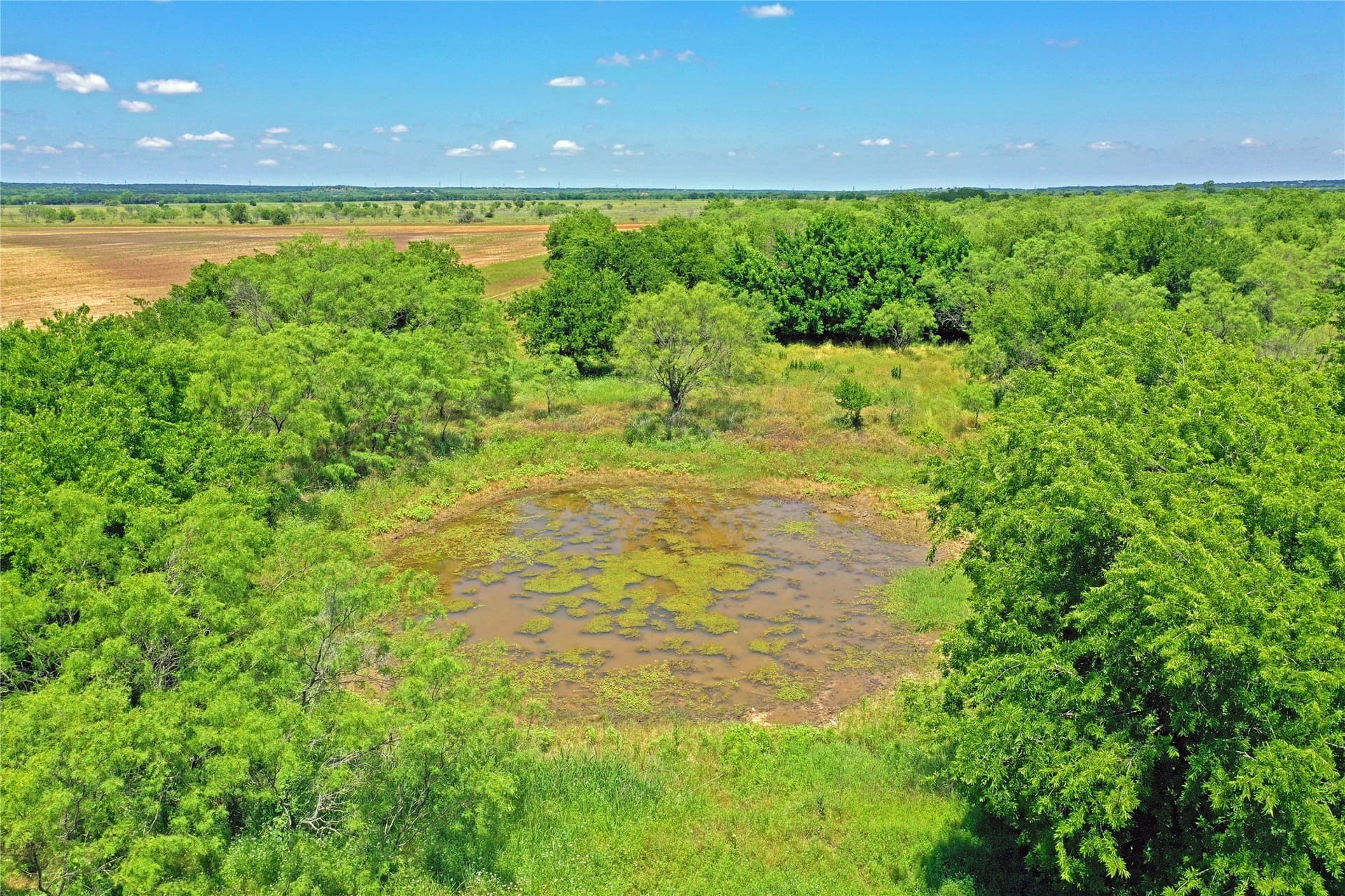 36.42 acres in Jack County gallery image 4