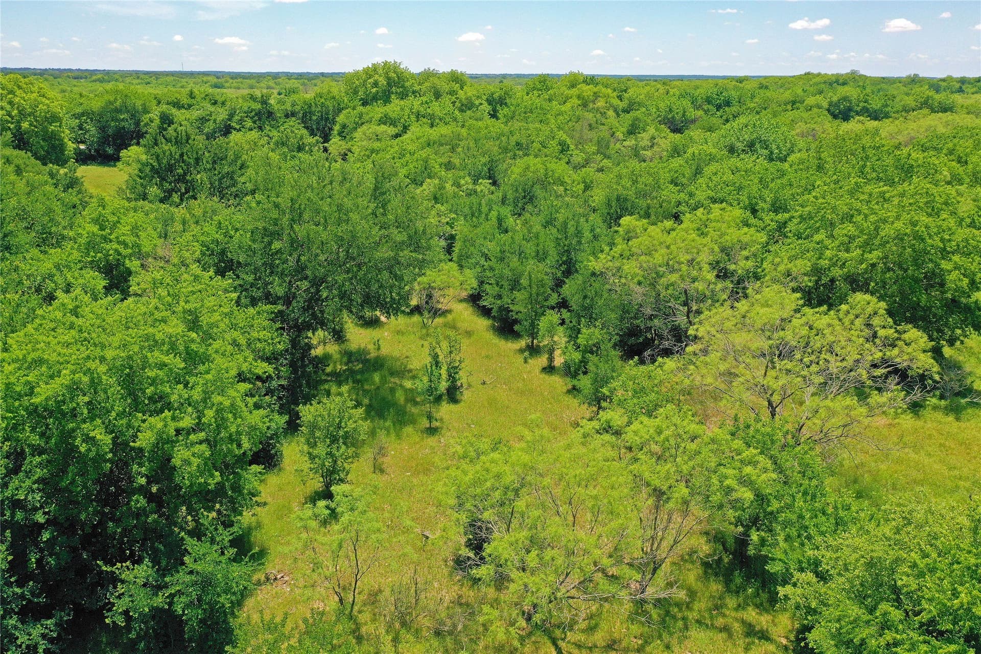 36.42 acres in Jack County - photo 12