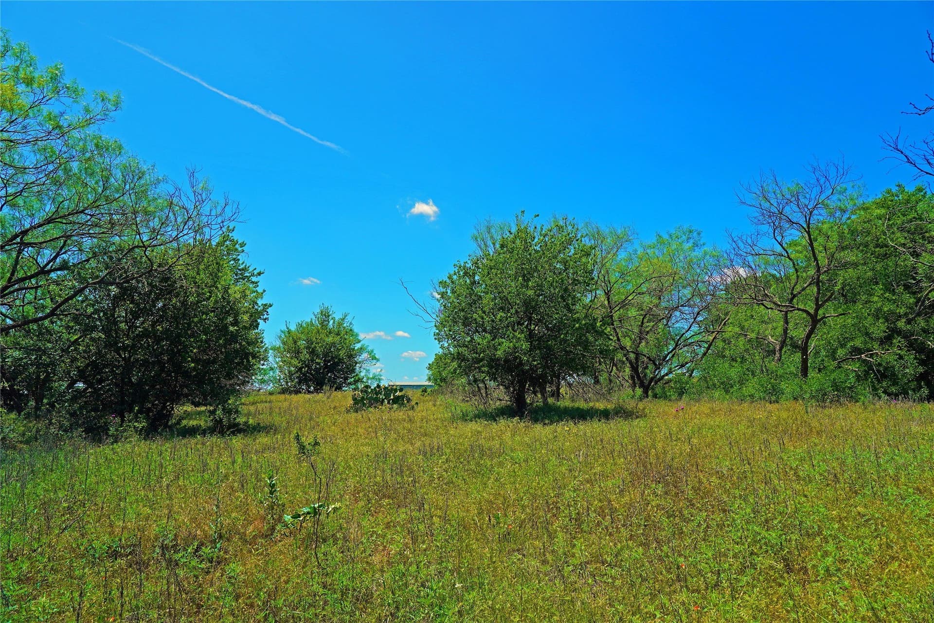 36.42 acres in Jack County - photo 25