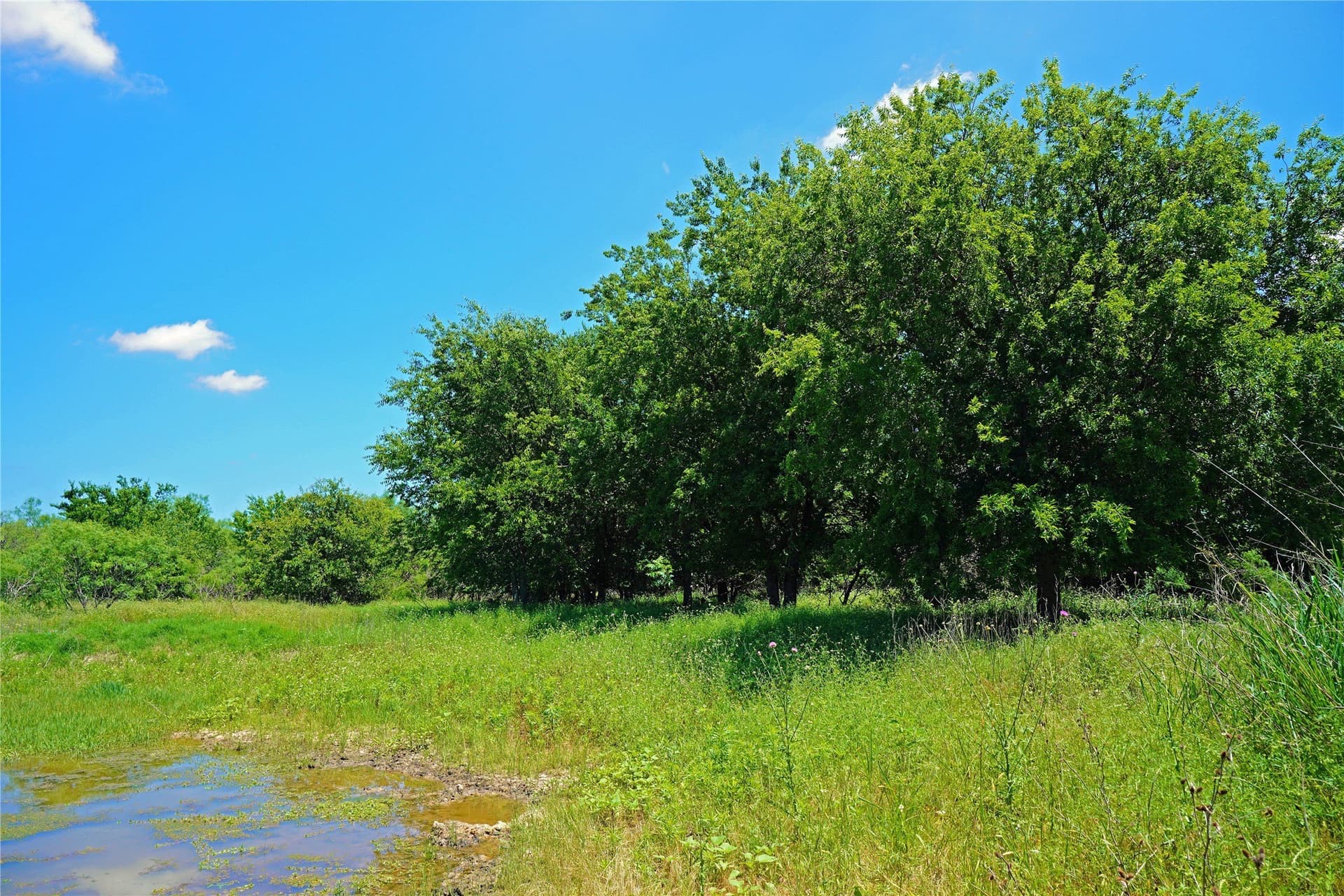 36.42 acres in Jack County - photo 18