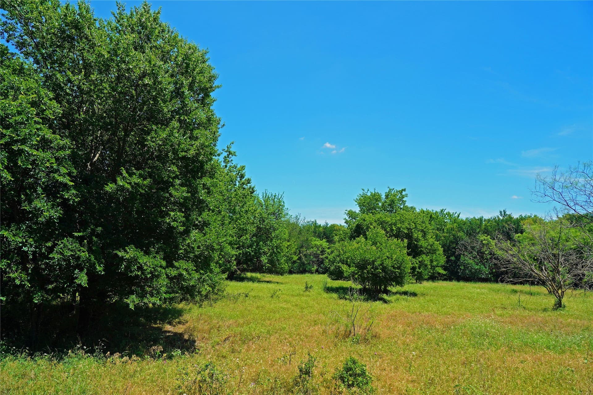 36.42 acres in Jack County - photo 8