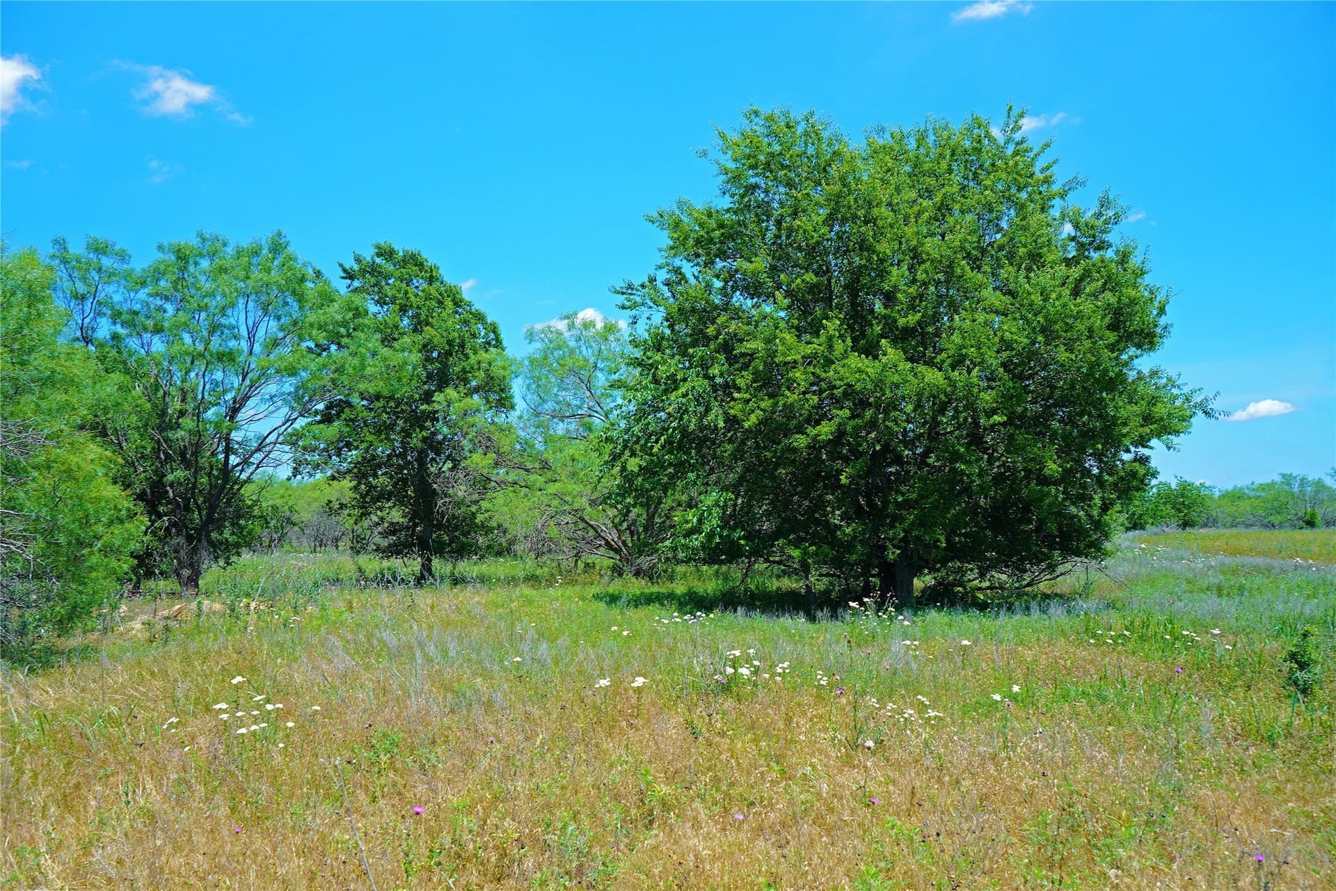 36.42 acres in Jack County - photo 19