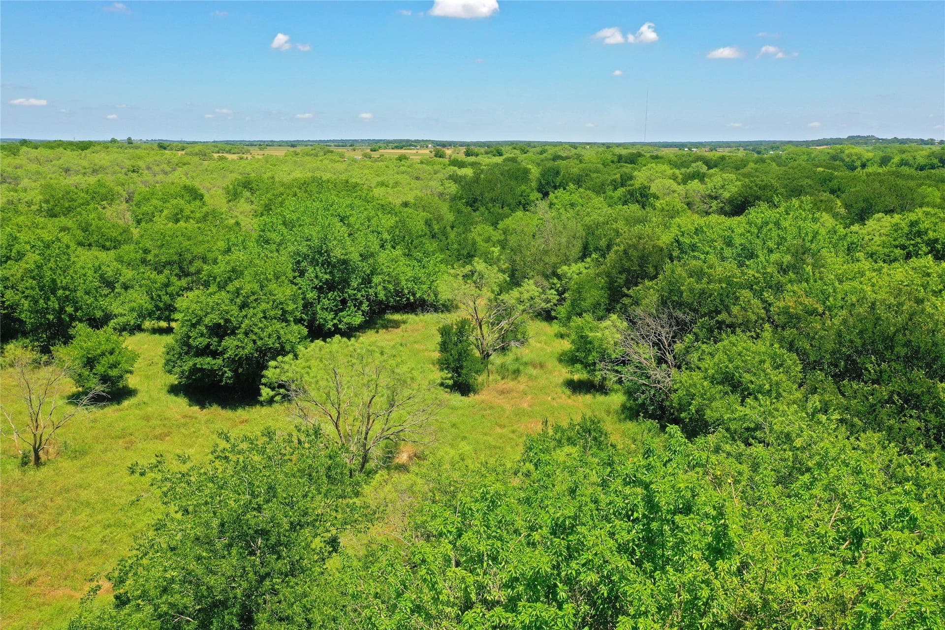 36.42 acres in Jack County - photo 14