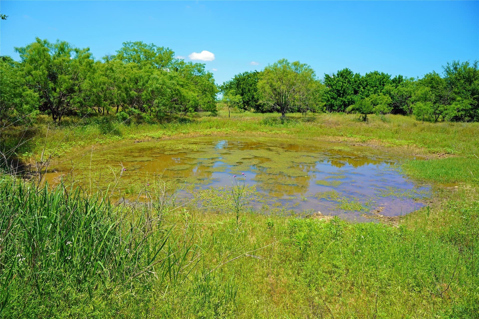 36.42 acres in Jack County - photo 17