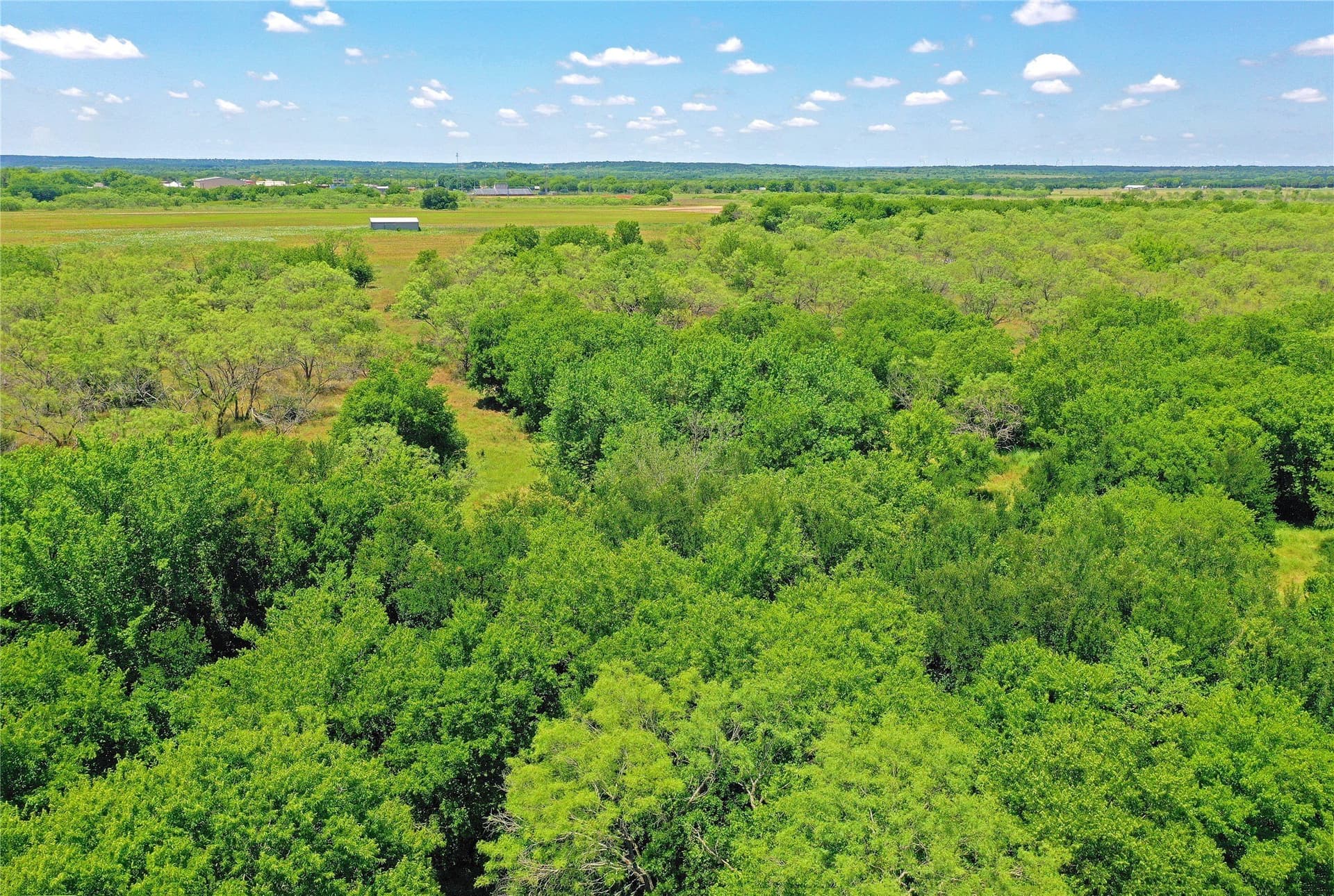 36.42 acres in Jack County - photo 9