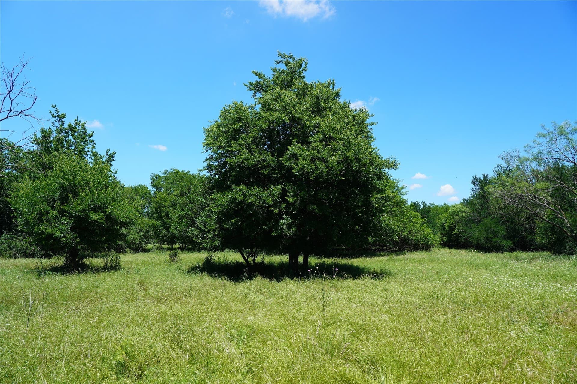 36.42 acres in Jack County - photo 23