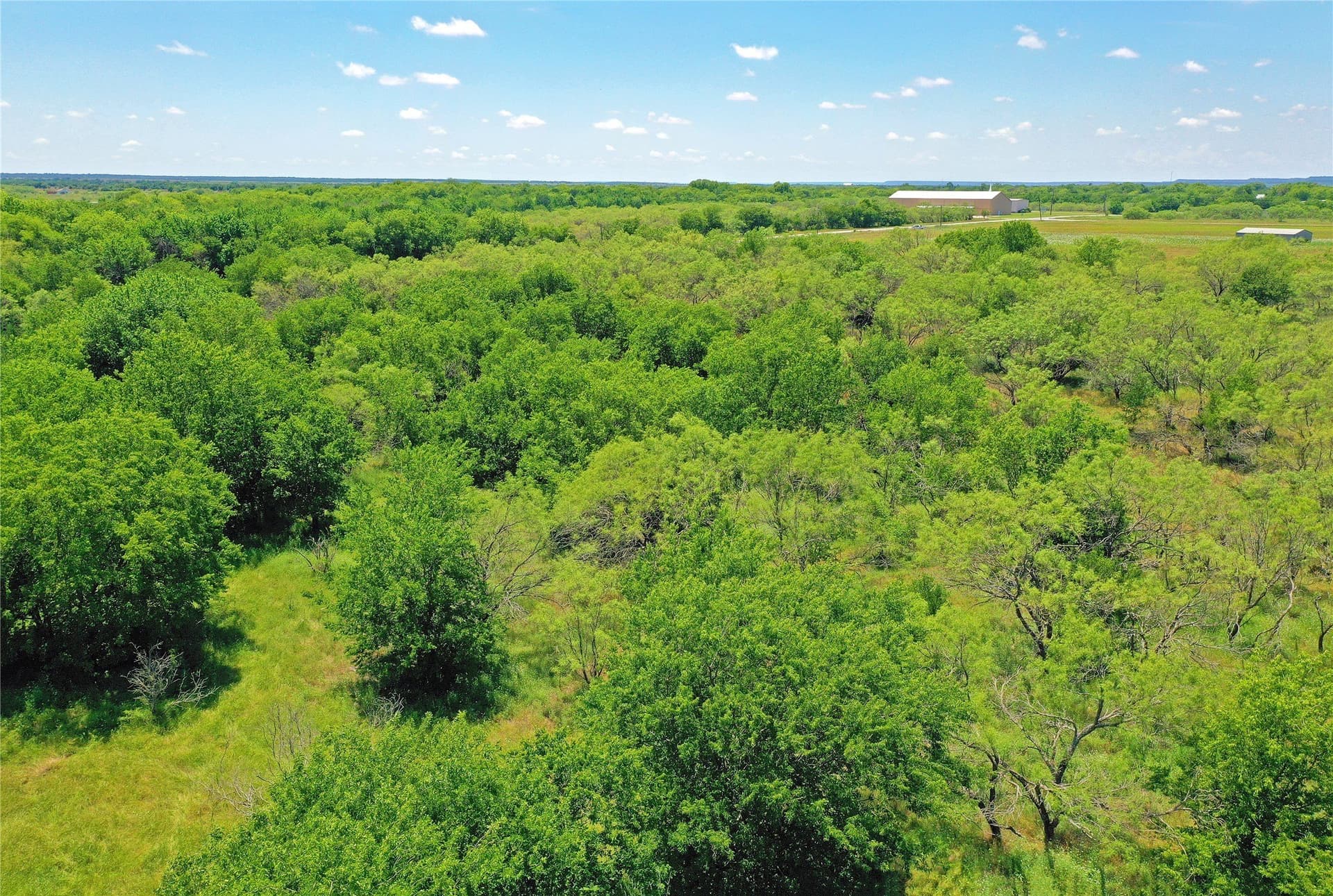 36.42 acres in Jack County - photo 10