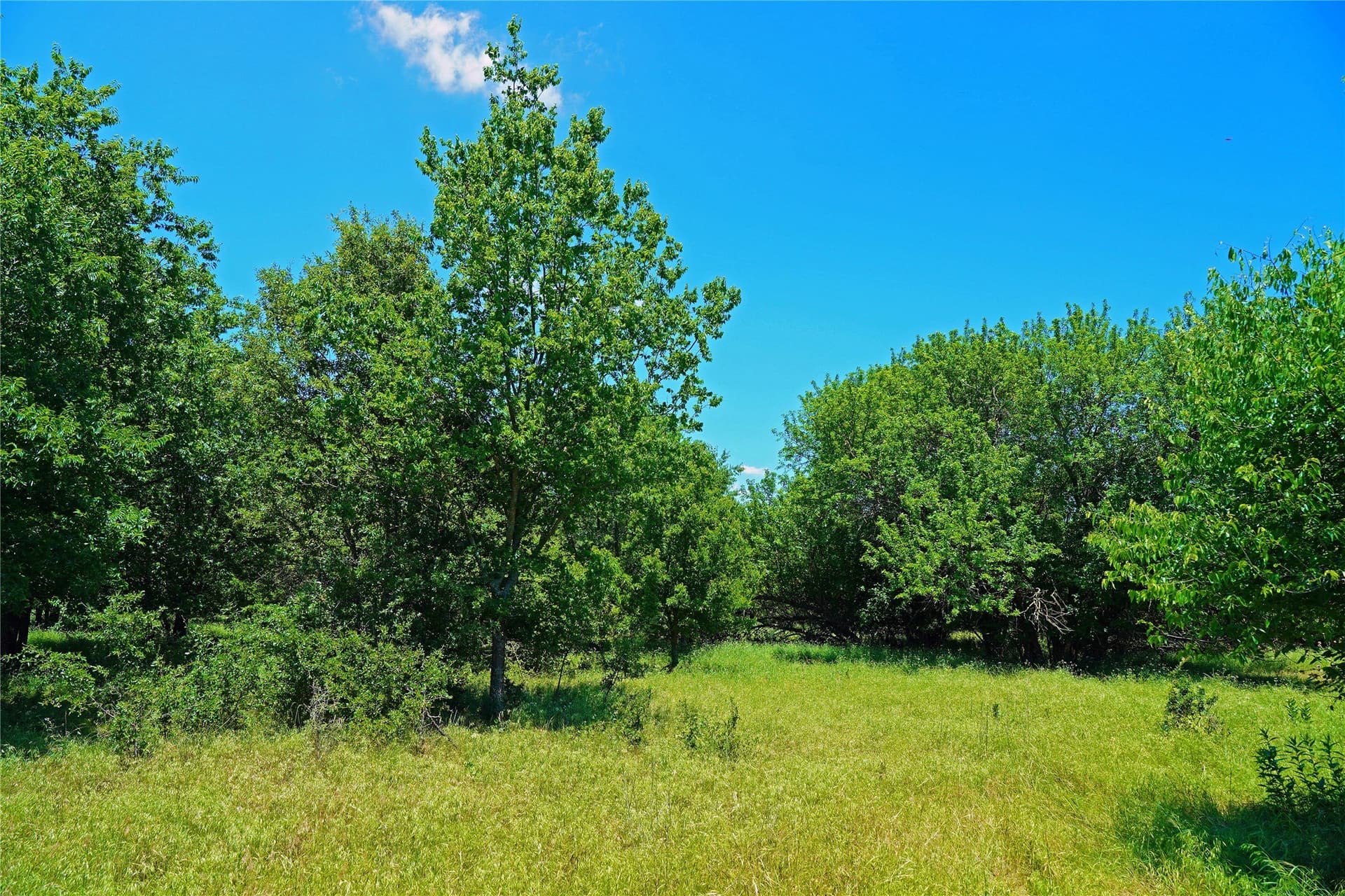 36.42 acres in Jack County - photo 21