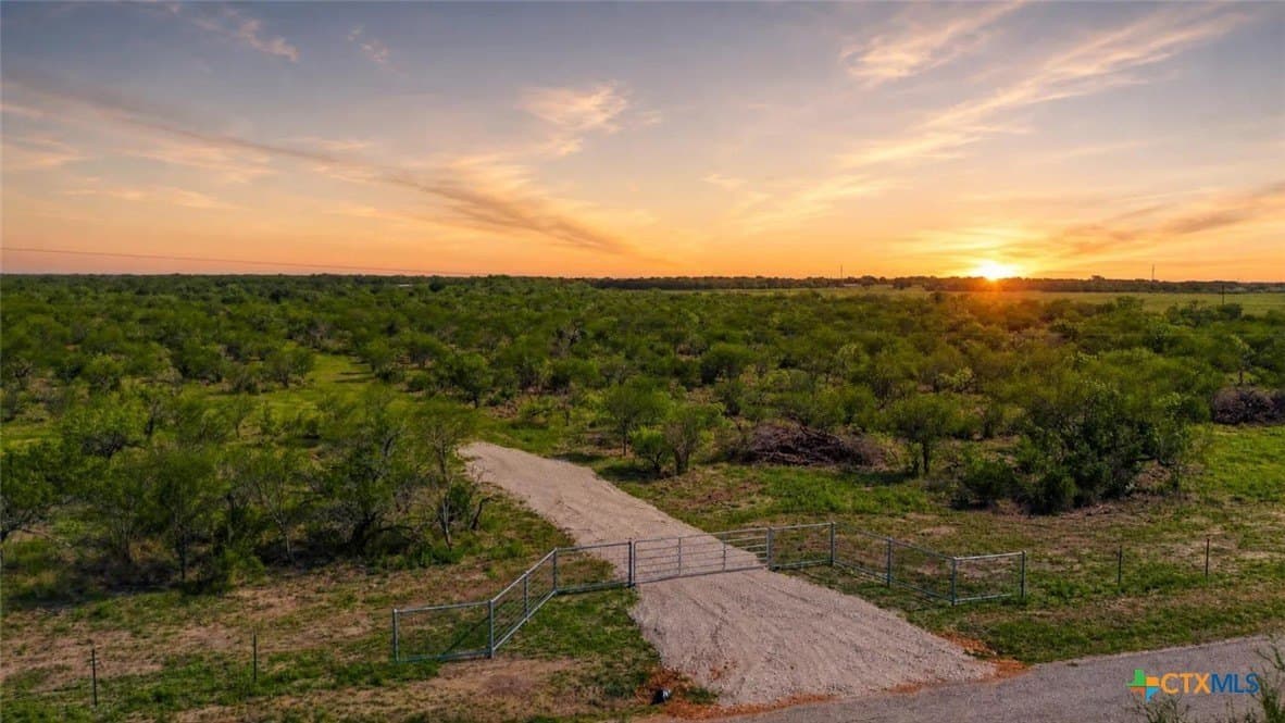 19.86 acres in Goliad County gallery image 2