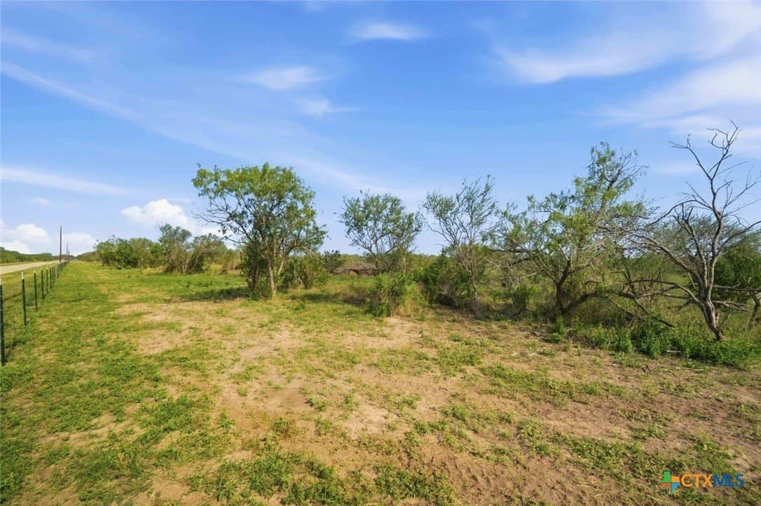 19.86 acres in Goliad County gallery image 4