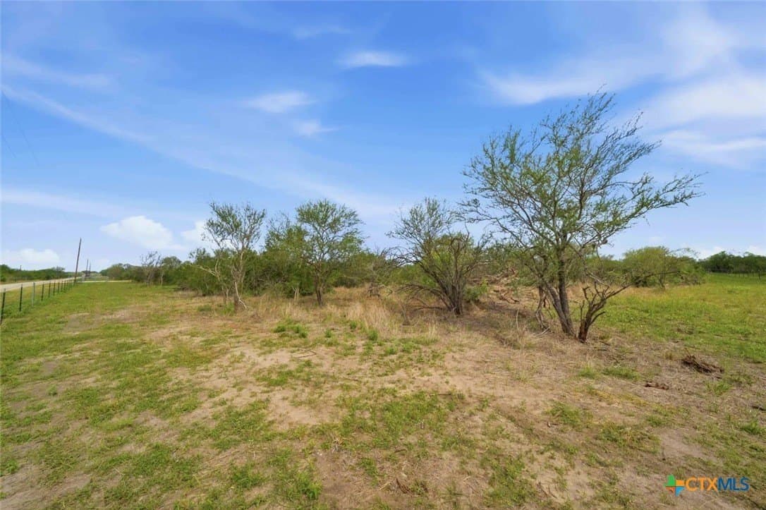 19.86 acres in Goliad County - photo 10