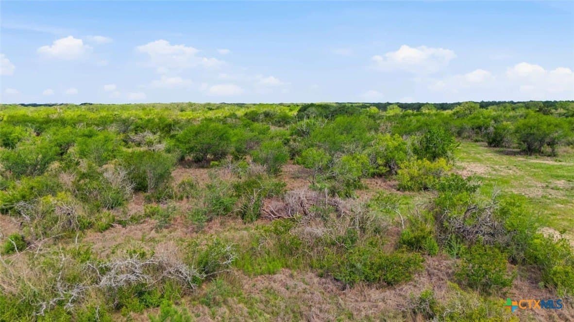 19.86 acres in Goliad County - photo 8