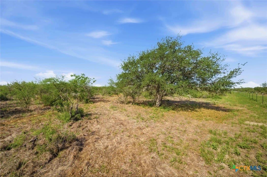 19.86 acres in Goliad County featured view