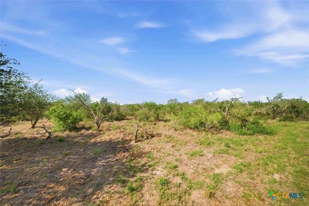 19.86 acres in Goliad County - photo 6