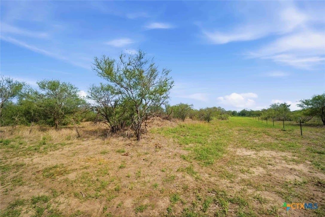 19.86 acres in Goliad County - photo 9