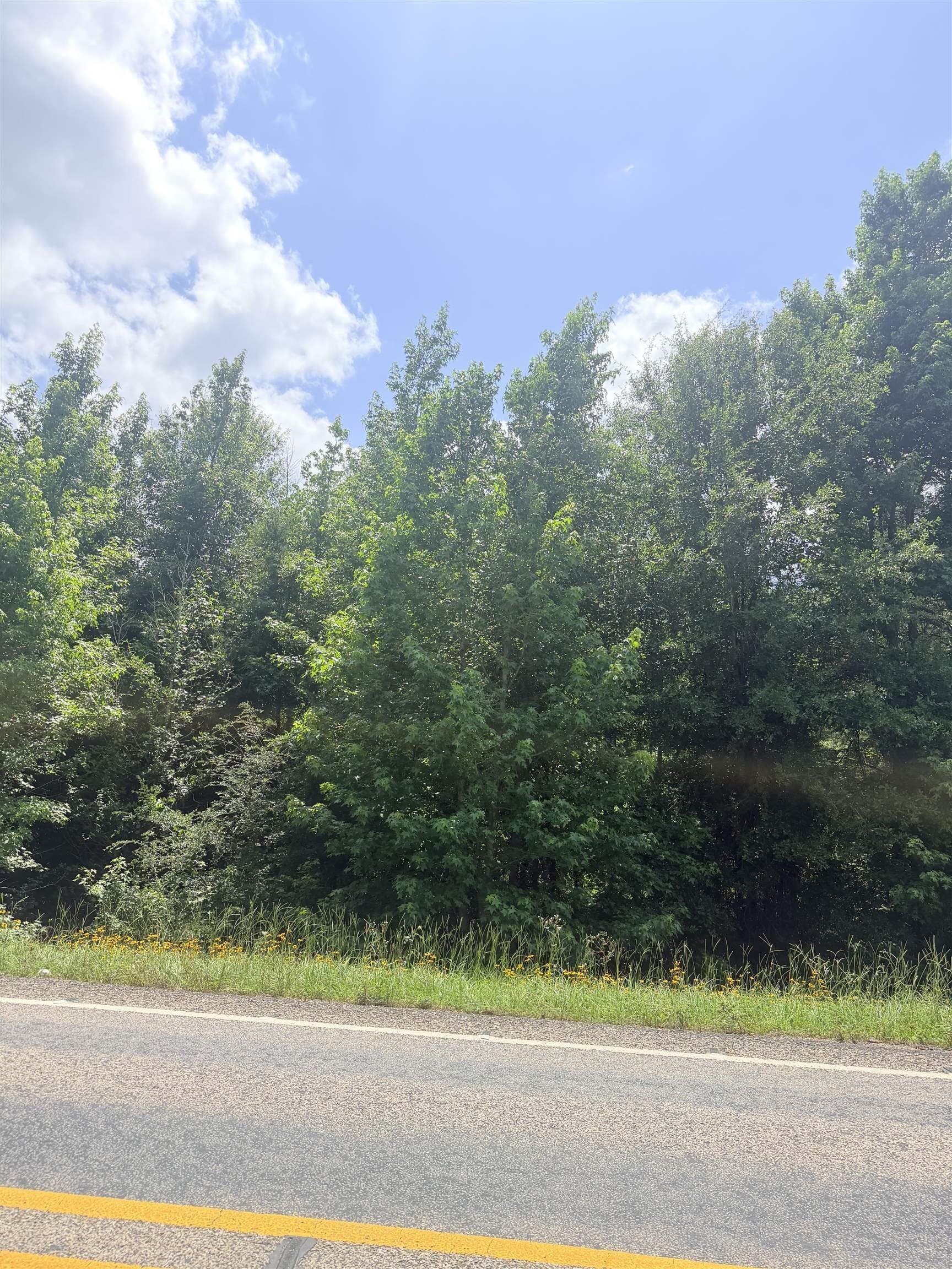 30 acres in Panola County gallery image 4