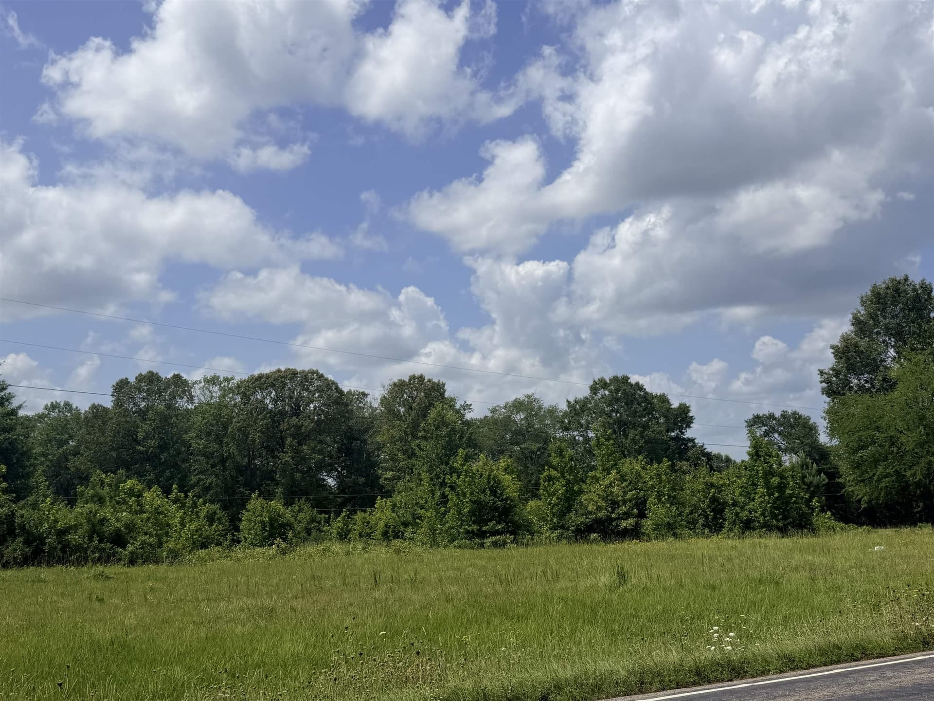 30 acres in Panola County gallery image 3
