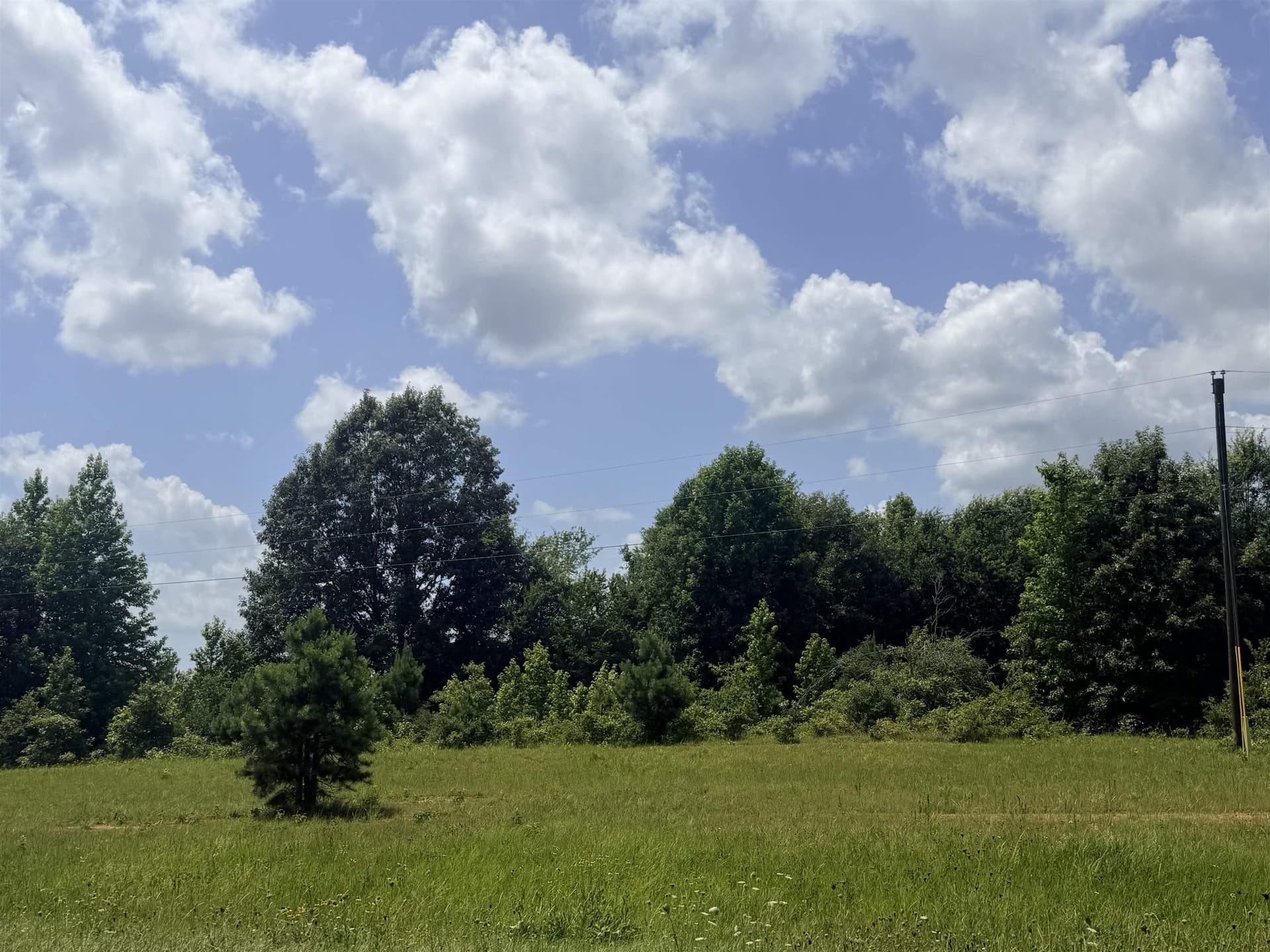 30 acres in Panola County gallery image 2