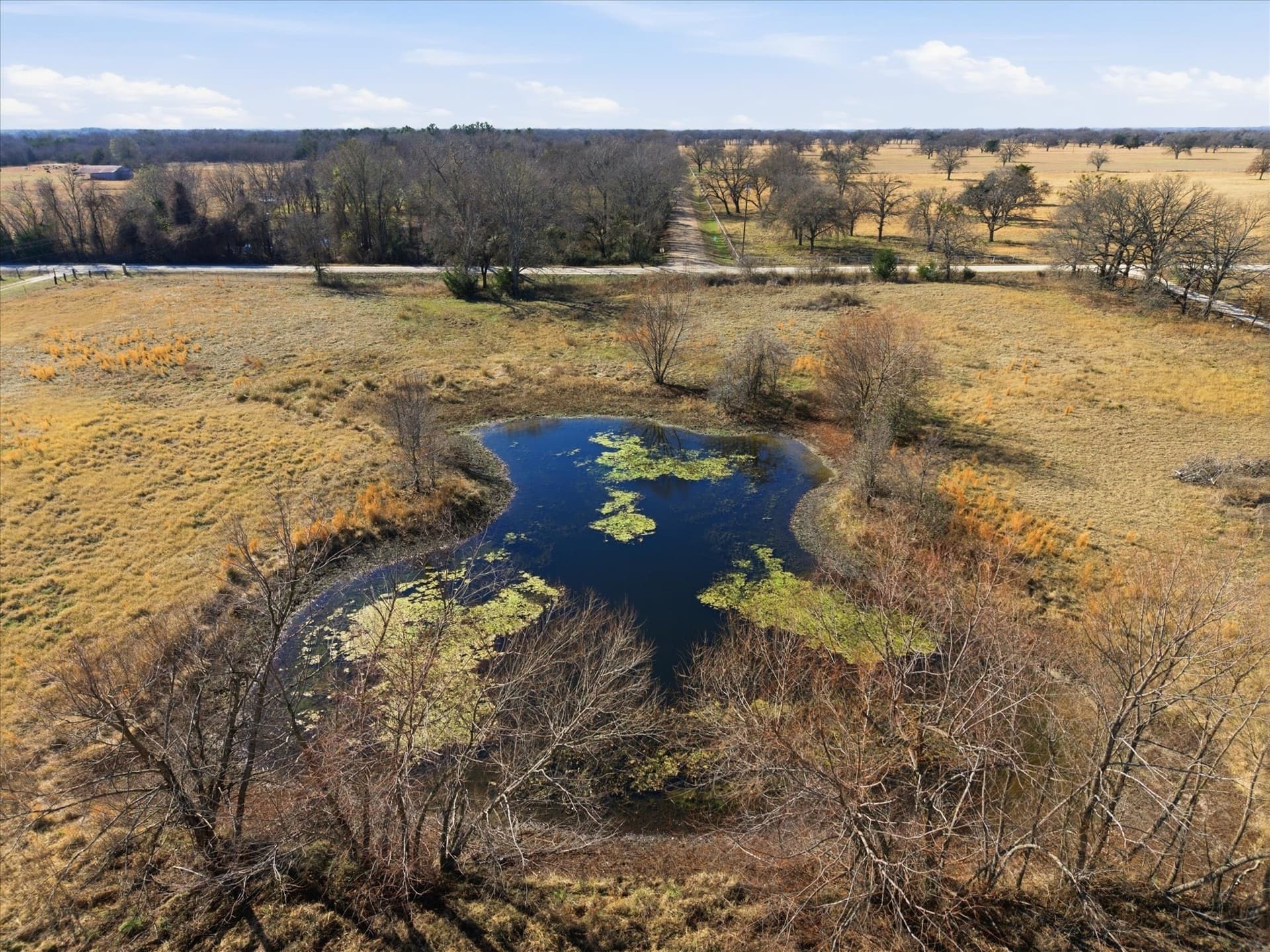 5 acres in Kaufman County gallery image 2