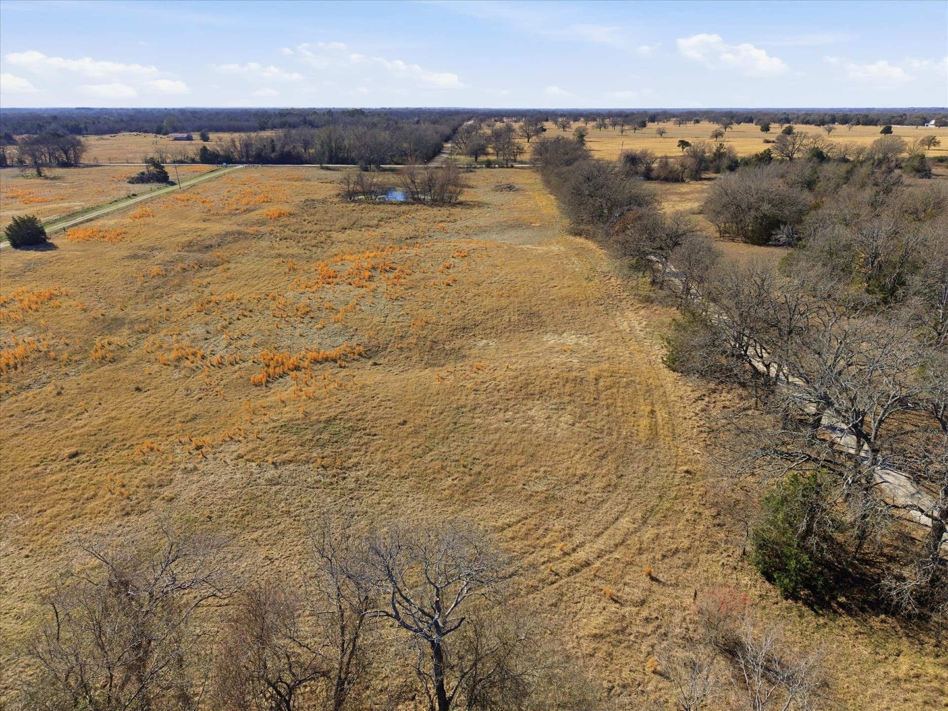 5 acres in Kaufman County gallery image 4