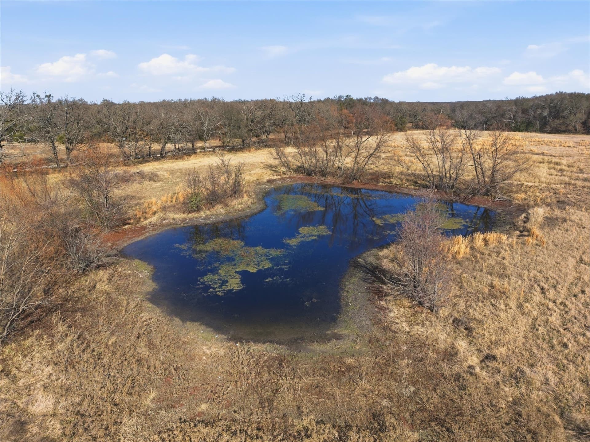 5 acres in Kaufman County gallery image 3
