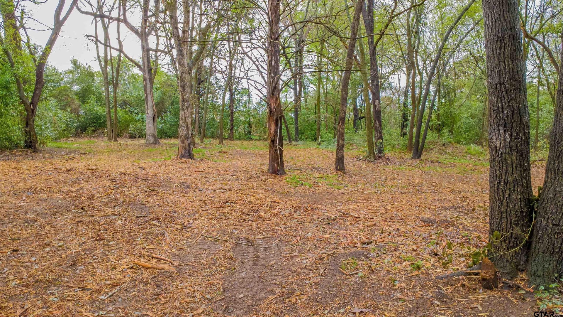 0.84 acres in Smith County gallery image 4
