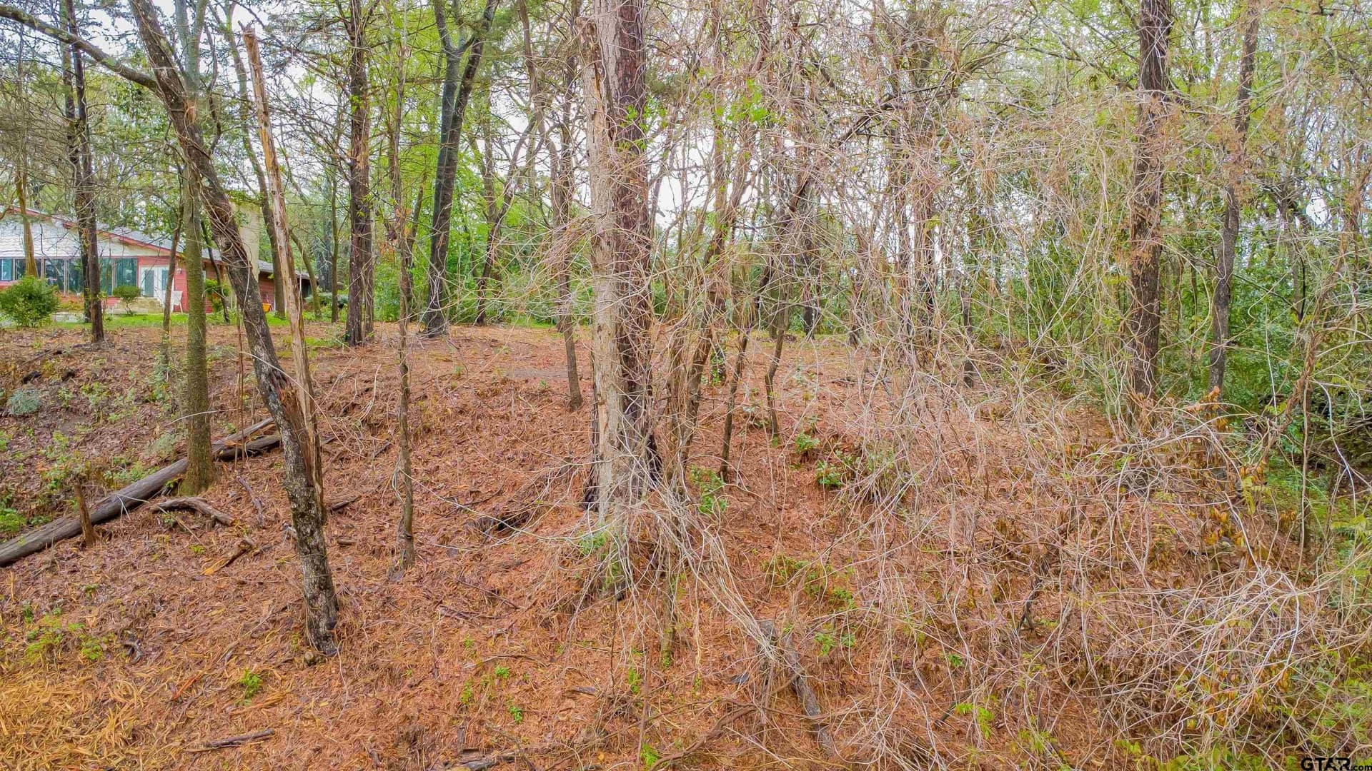 0.84 acres in Smith County gallery image 3