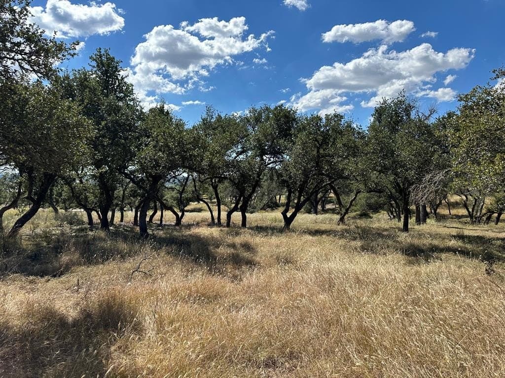 42.08 acres in Gillespie County - photo 6