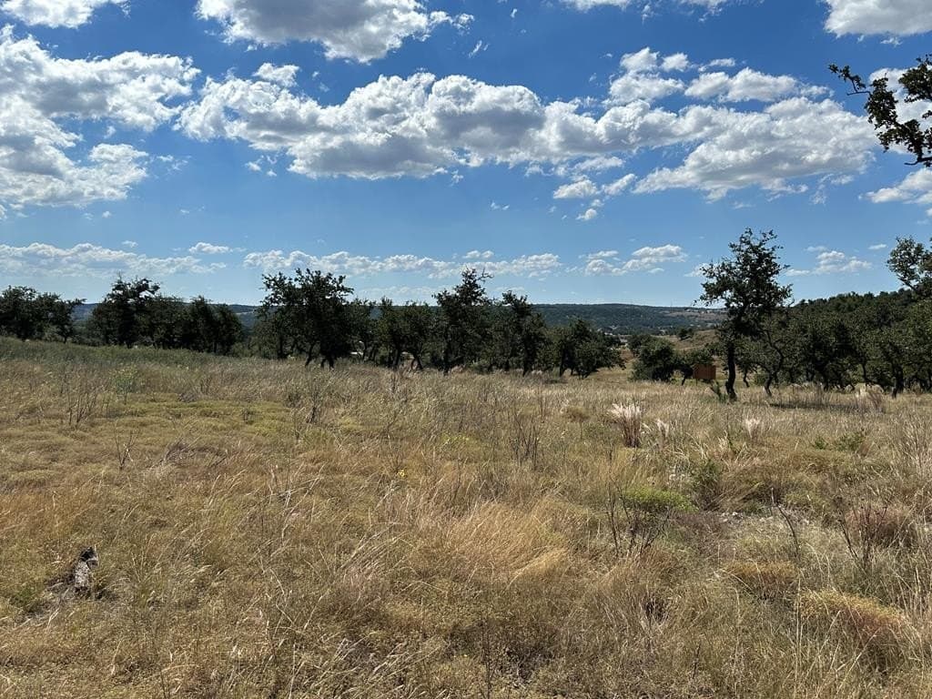 42.08 acres in Gillespie County - photo 9