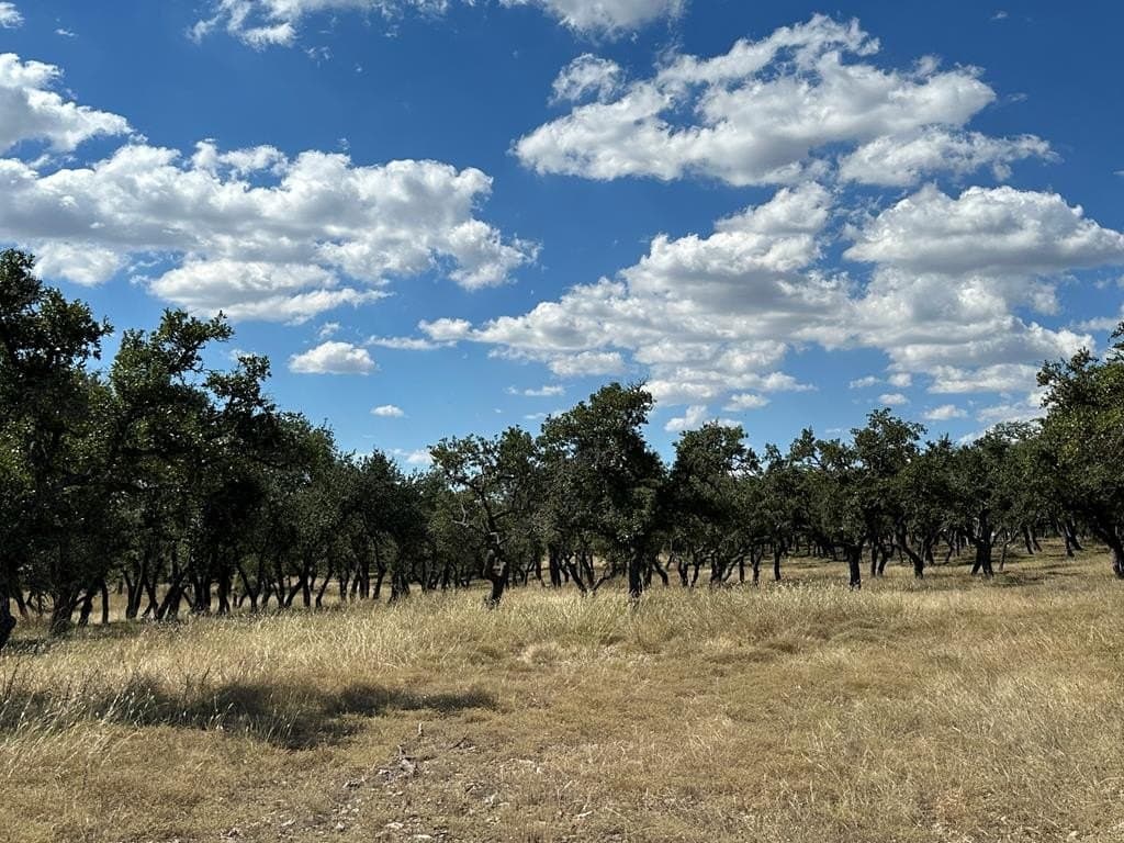 42.08 acres in Gillespie County - photo 10