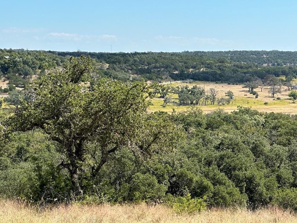 42.08 acres in Gillespie County - photo 11