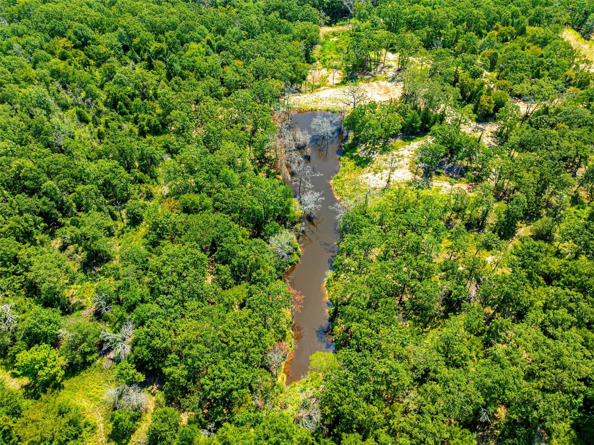 118 acres in Henderson County - photo 11