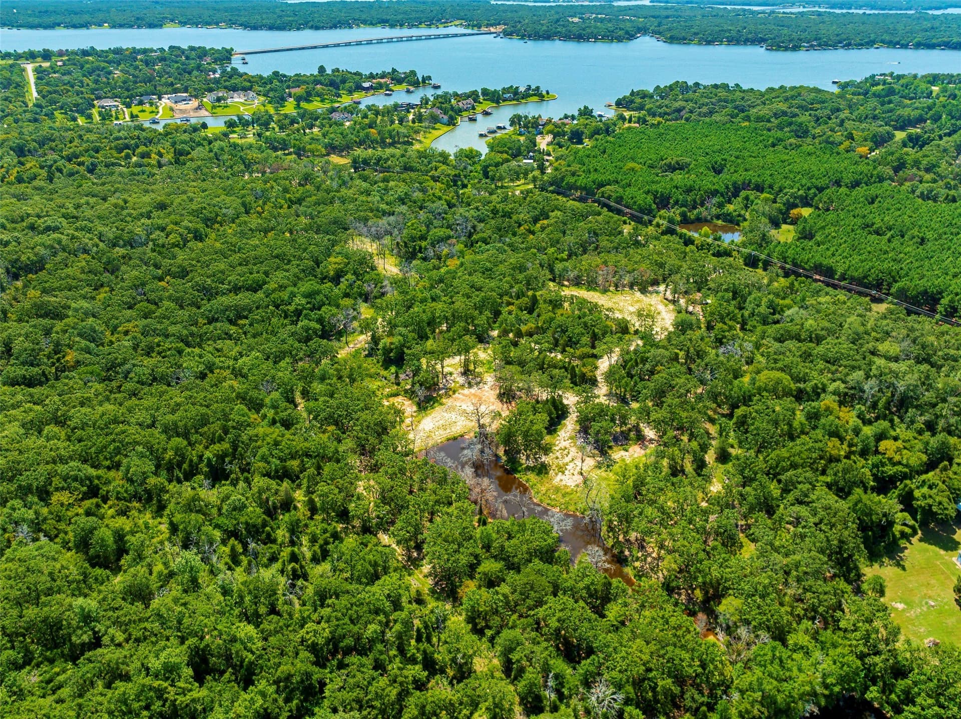 118 acres in Henderson County - photo 12