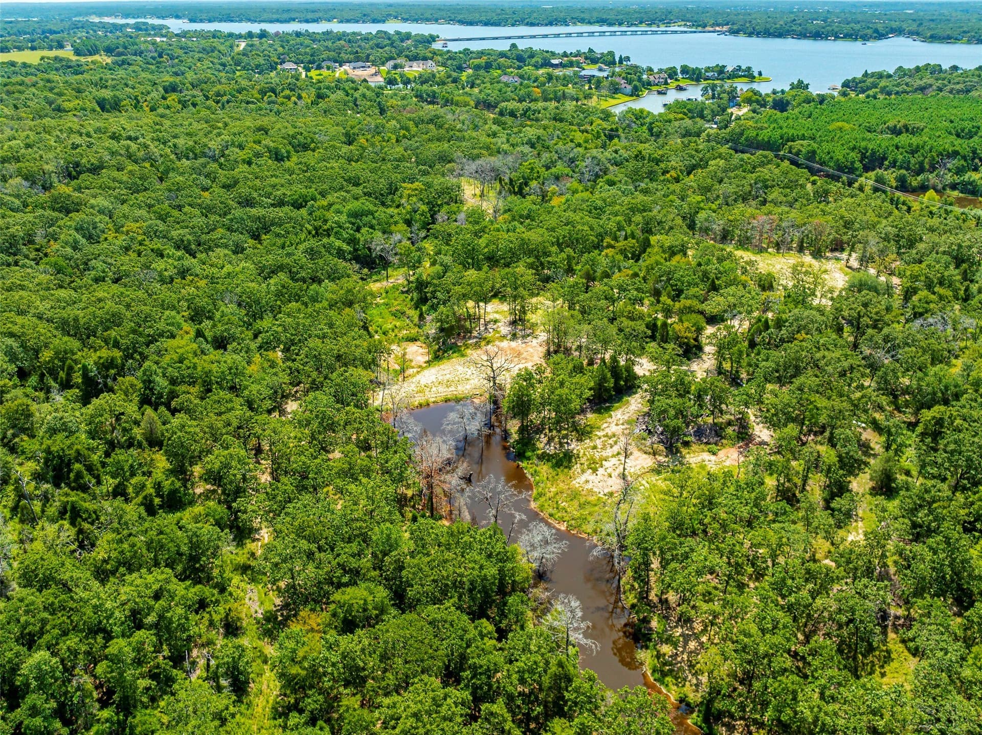 118 acres in Henderson County - photo 10