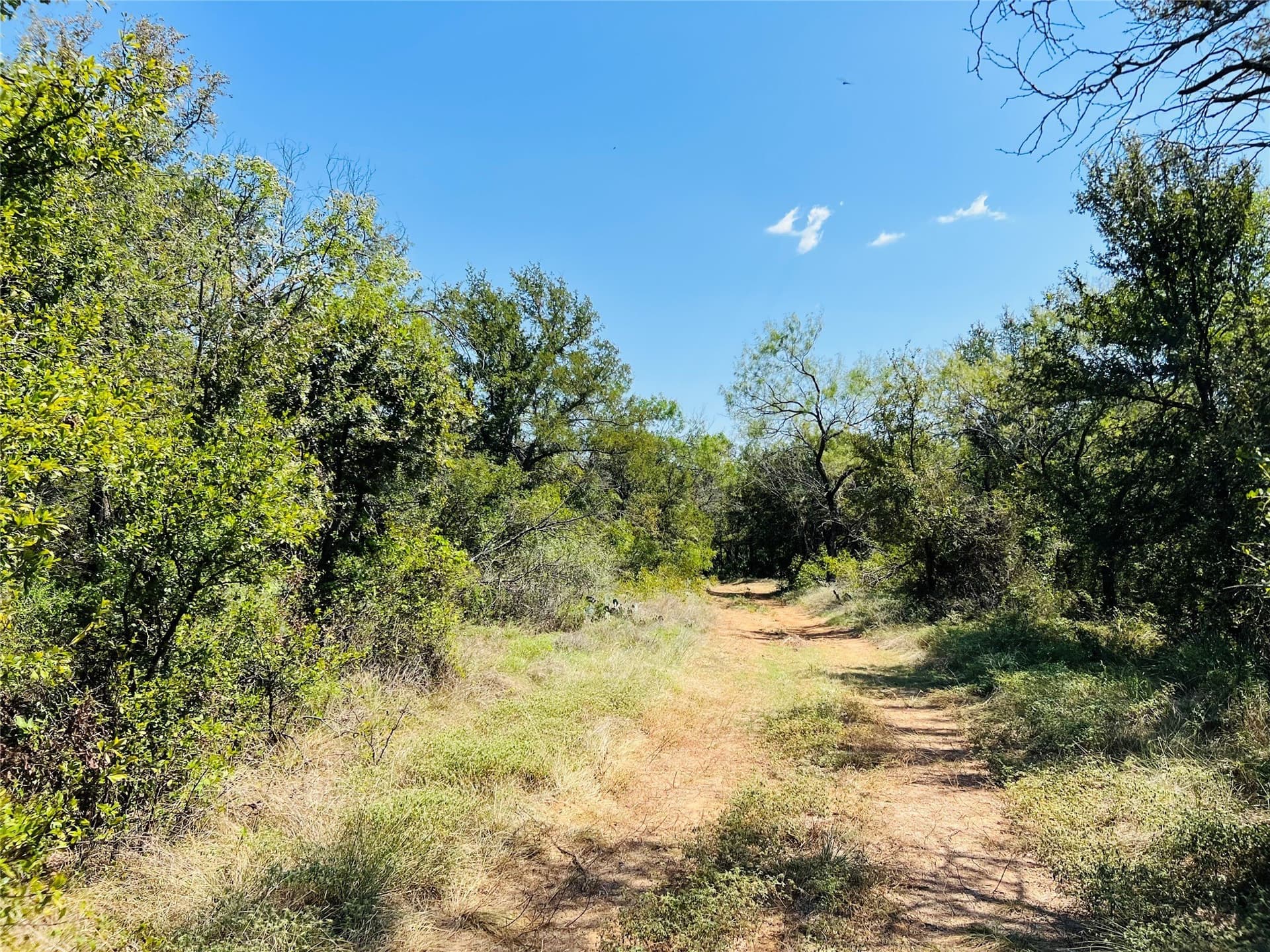 13.39 acres in Palo Pinto County - photo 34