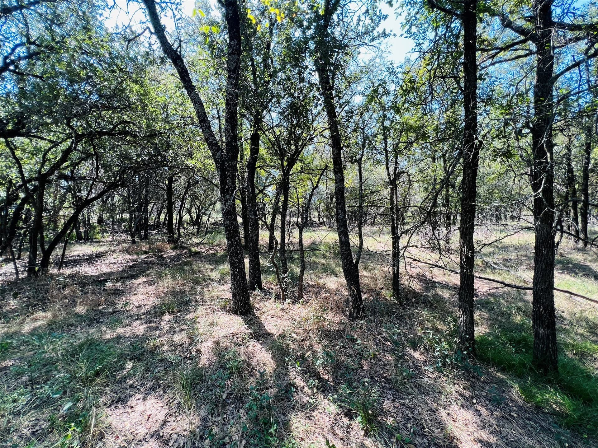 13.39 acres in Palo Pinto County - photo 26
