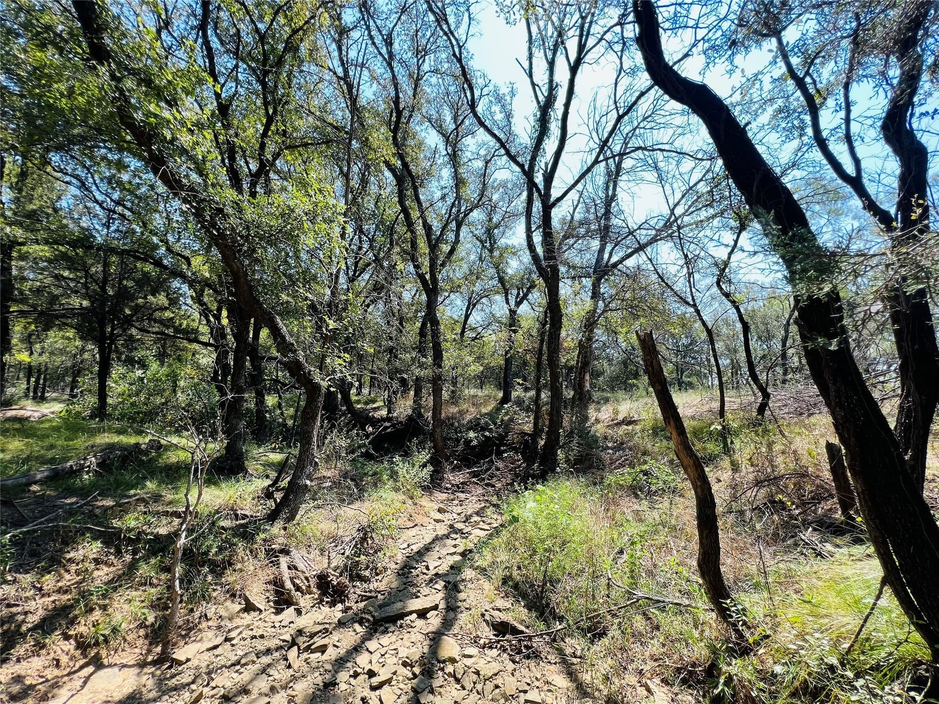 13.39 acres in Palo Pinto County - photo 21