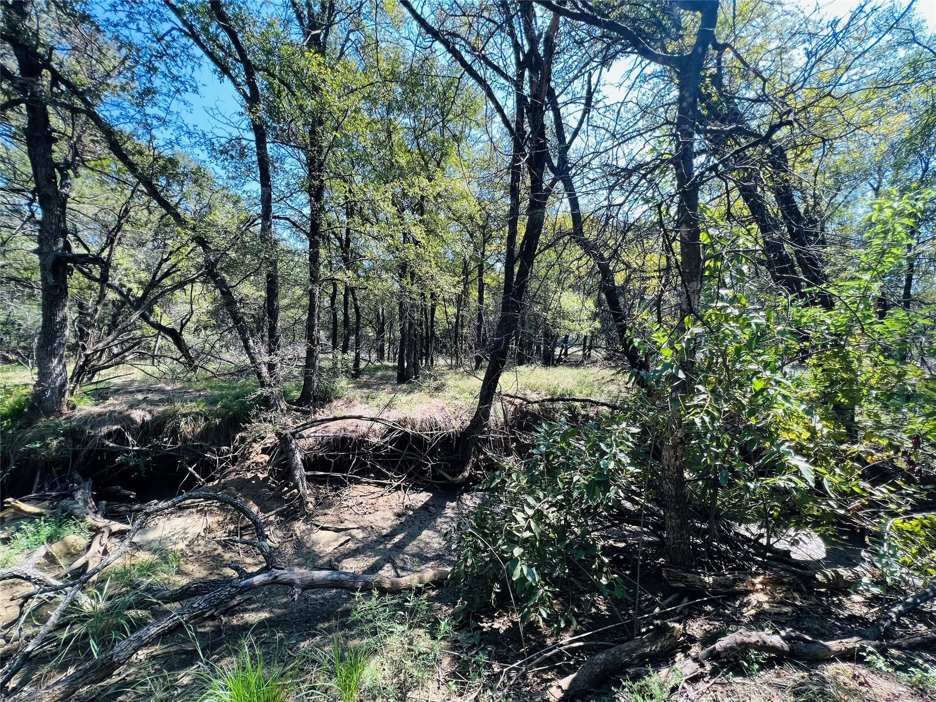 13.39 acres in Palo Pinto County - photo 19