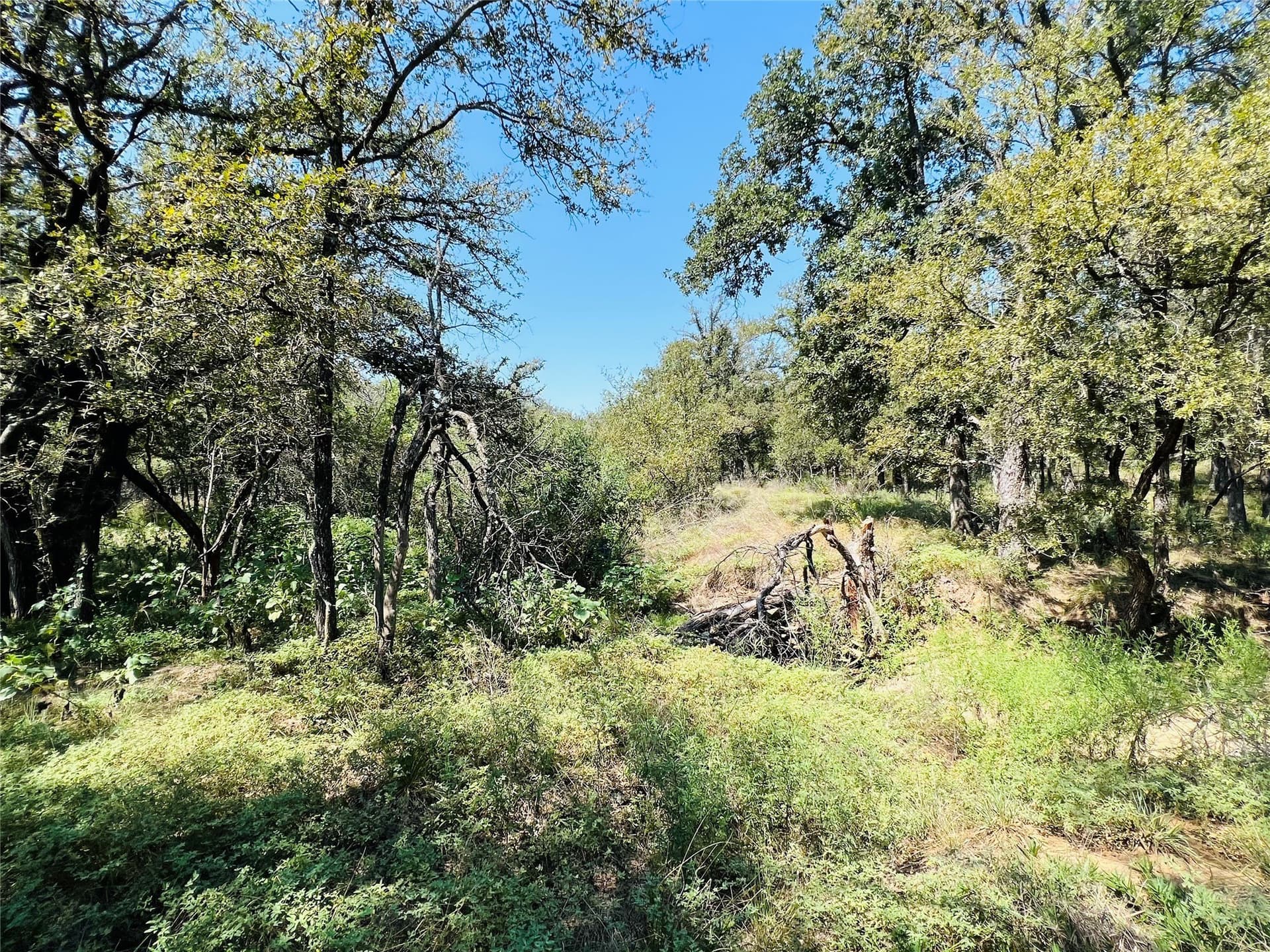 13.39 acres in Palo Pinto County - photo 2