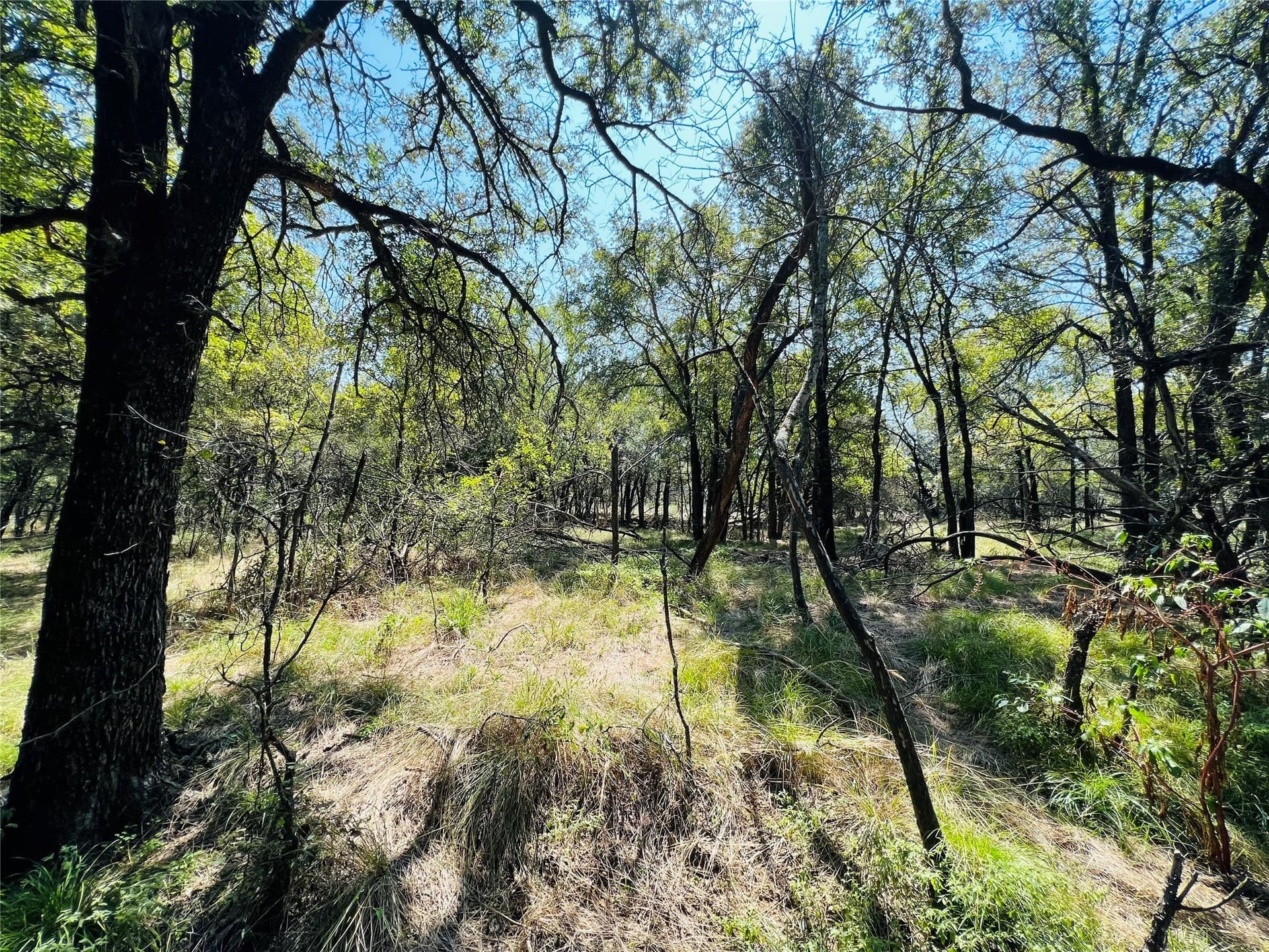 13.39 acres in Palo Pinto County - photo 22
