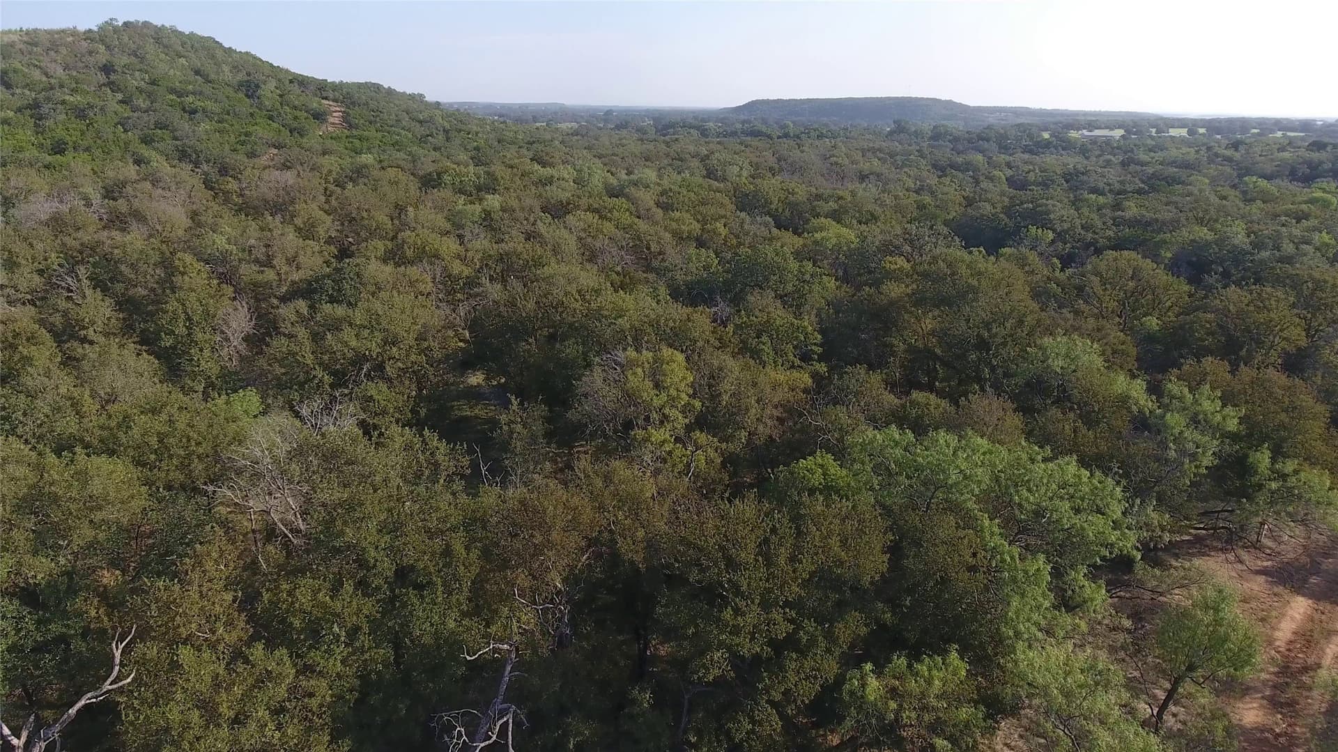 13.39 acres in Palo Pinto County - photo 38