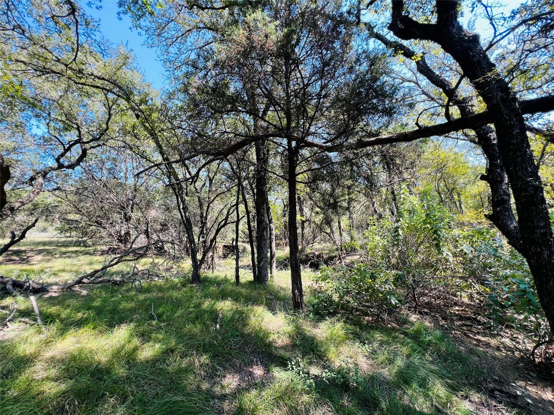 13.39 acres in Palo Pinto County - photo 28