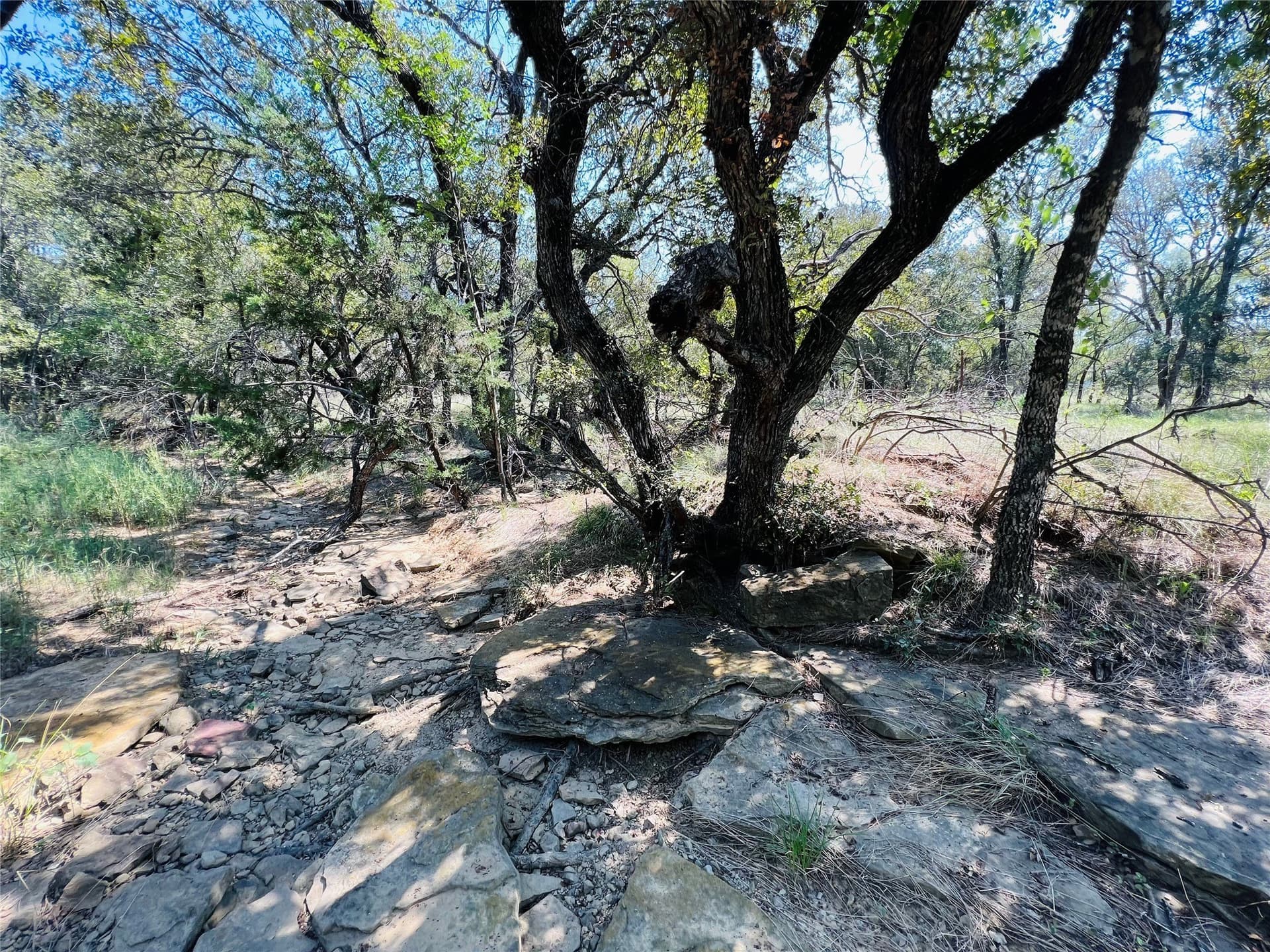 13.39 acres in Palo Pinto County - photo 24