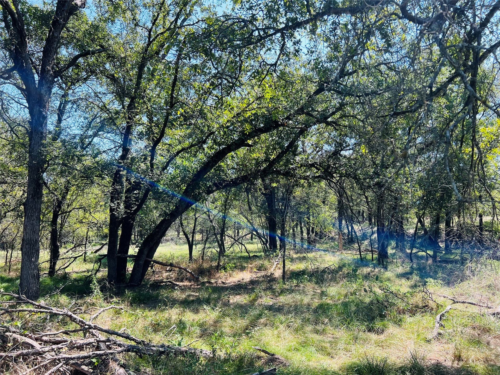 13.39 acres in Palo Pinto County - photo 9